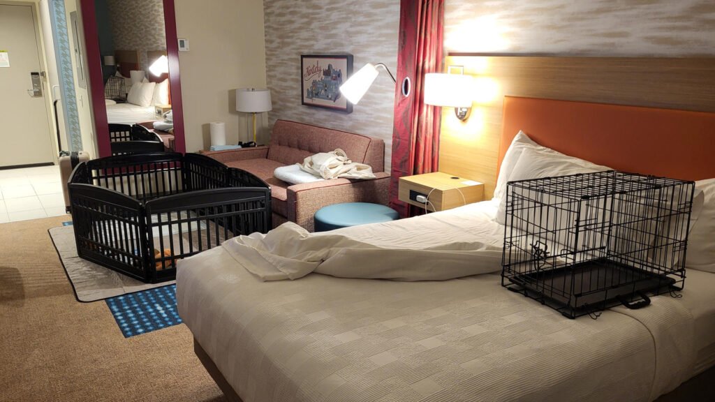 Kennel and exercise pen in hotel