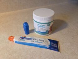 Dog toothpaste and finger brush with kelp powder