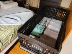 Exercise pen and kennel at the bed